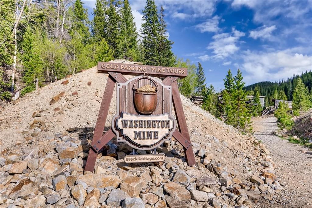 344 Illinois Gulch Road Breckenridge CO 80424