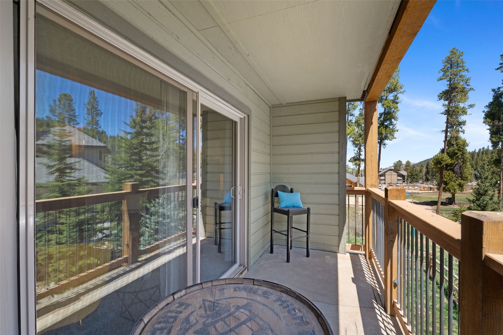 550 S French Street Breckenridge CO 80424