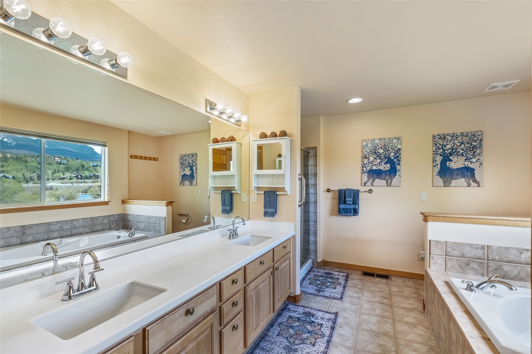 176 Allegra Lane Silverthorne CO 80498