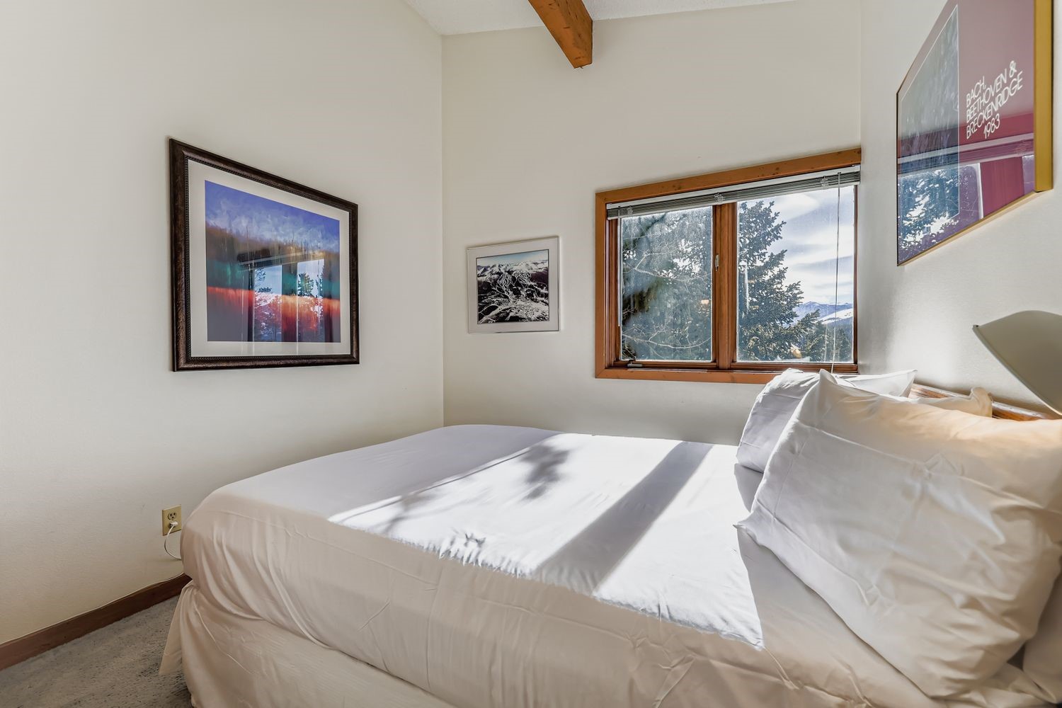 93 N Fuller Placer Road Breckenridge CO 80424