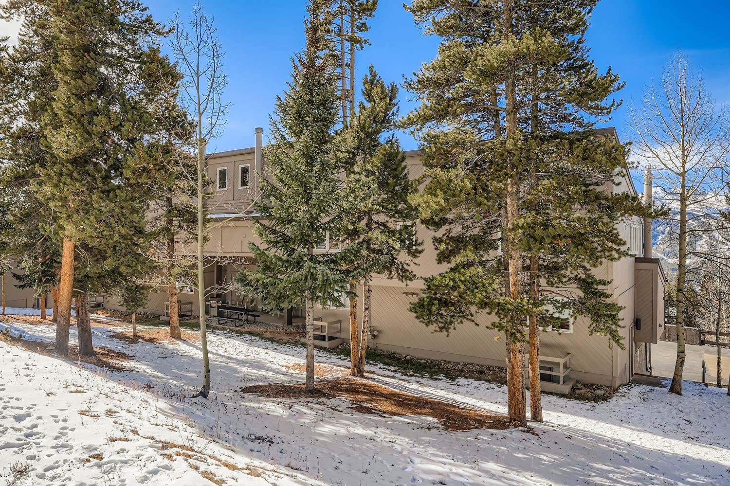 93 N Fuller Placer Road Breckenridge CO 80424