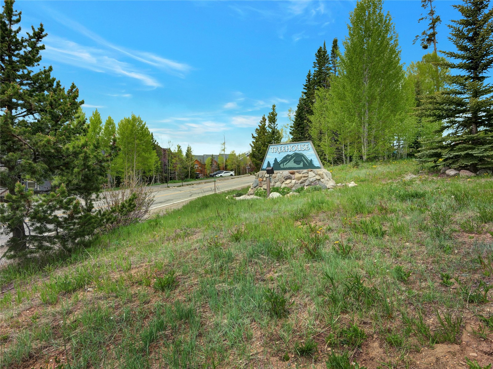 2400 Lodge Pole Circle Silverthorne CO 80498