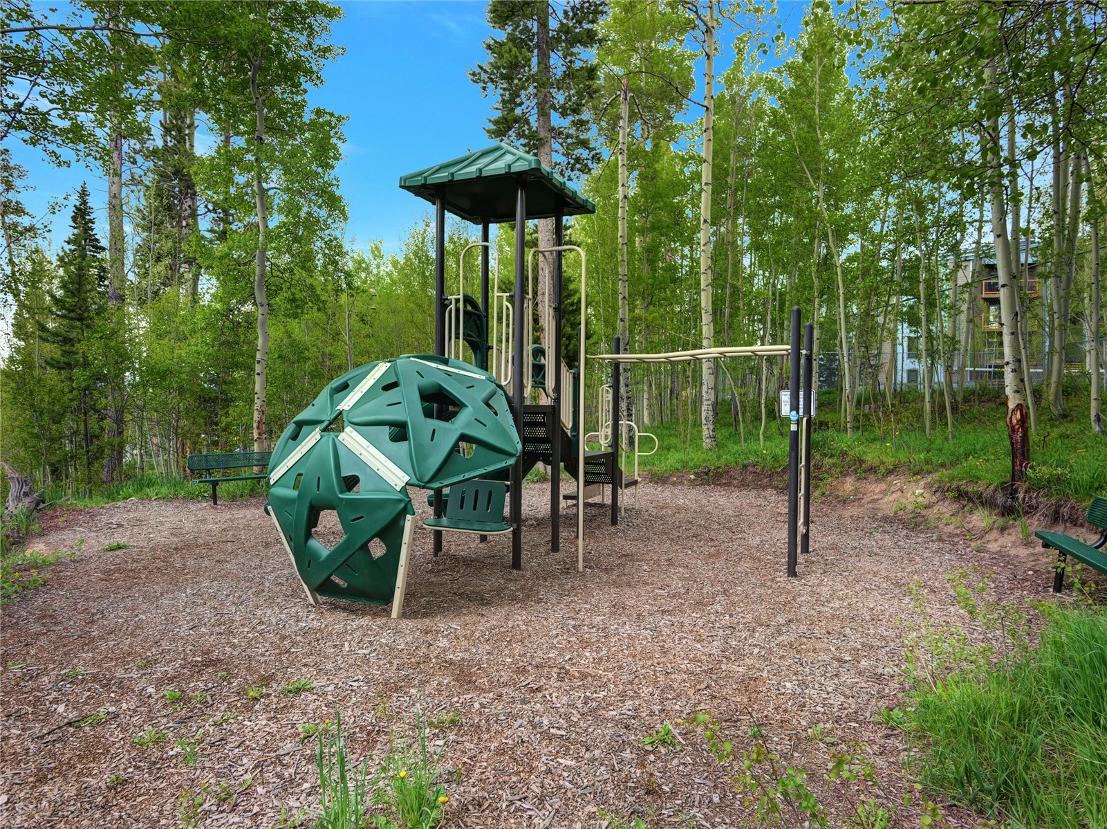 2400 Lodge Pole Circle Silverthorne CO 80498