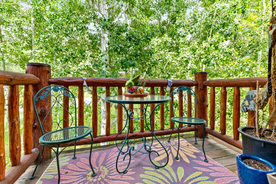 2684 Cross Timbers Trail Steamboat Springs CO 80487