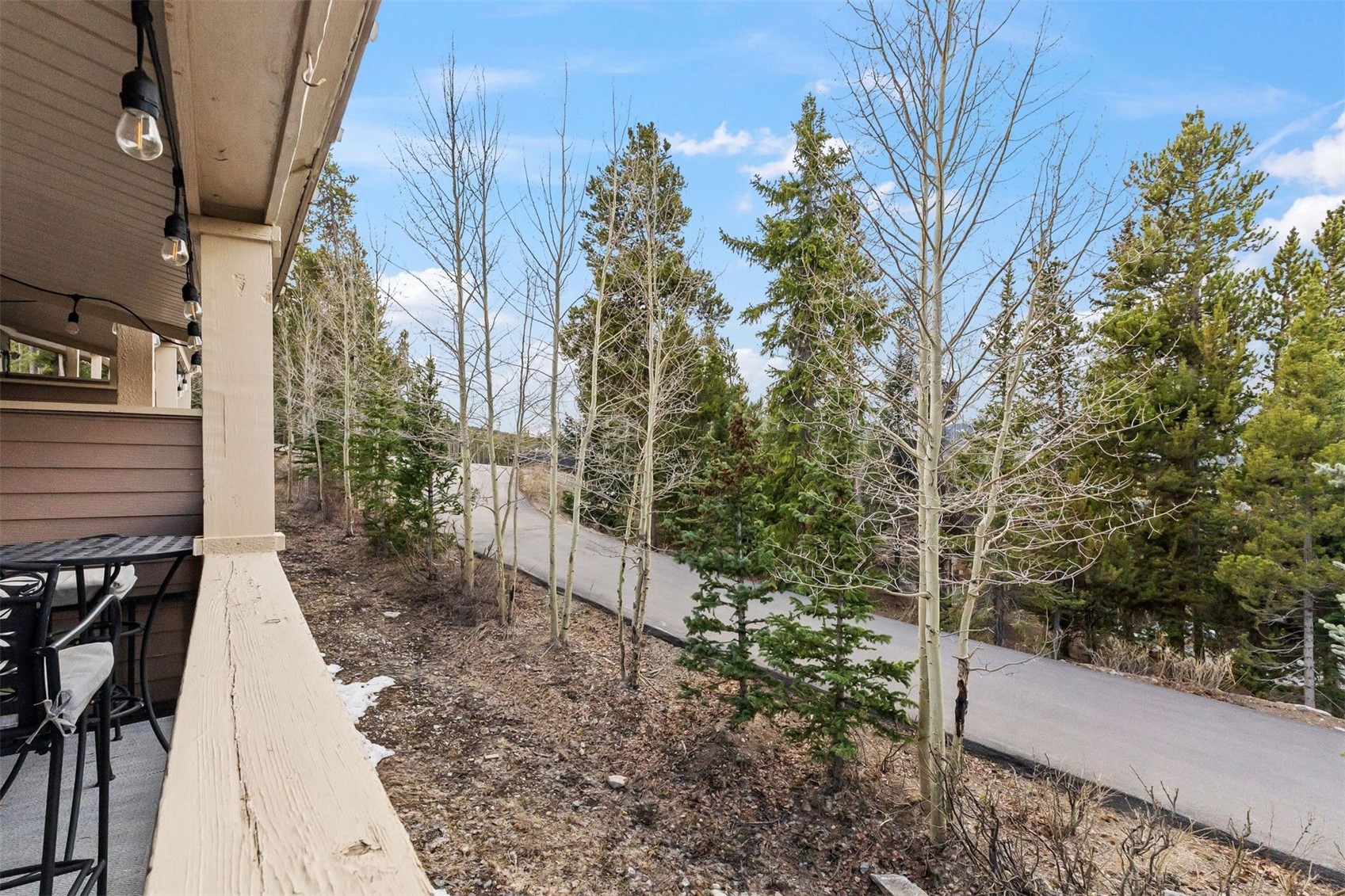 53 Atlantic Lode Road Breckenridge CO 80424