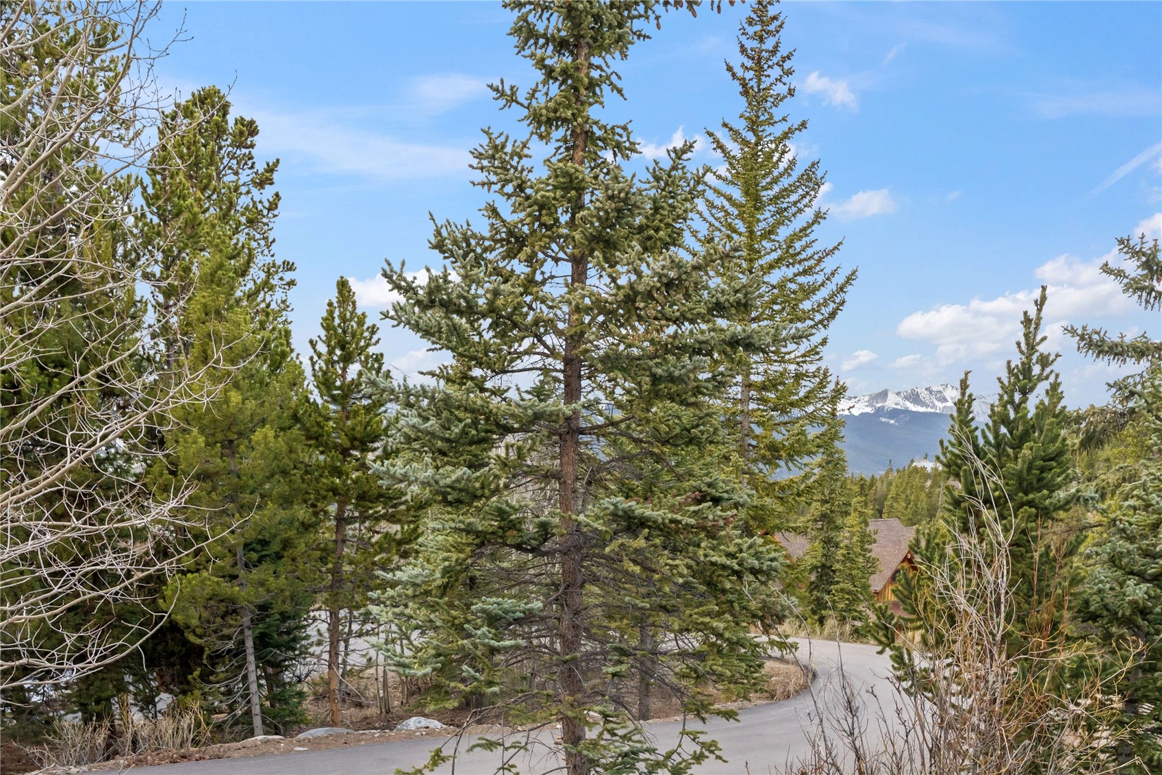 53 Atlantic Lode Road Breckenridge CO 80424