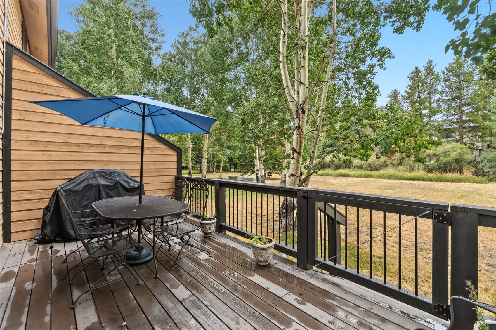 109 Hawn Drive Frisco CO 80443