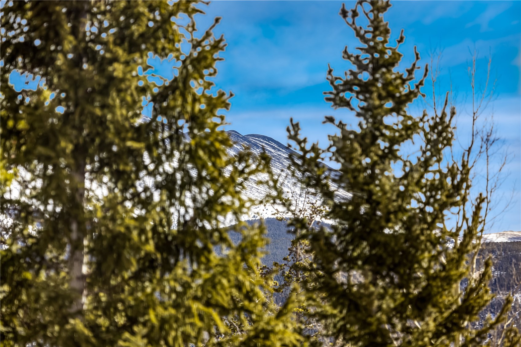 1001 Grandview Drive Breckenridge CO 80424