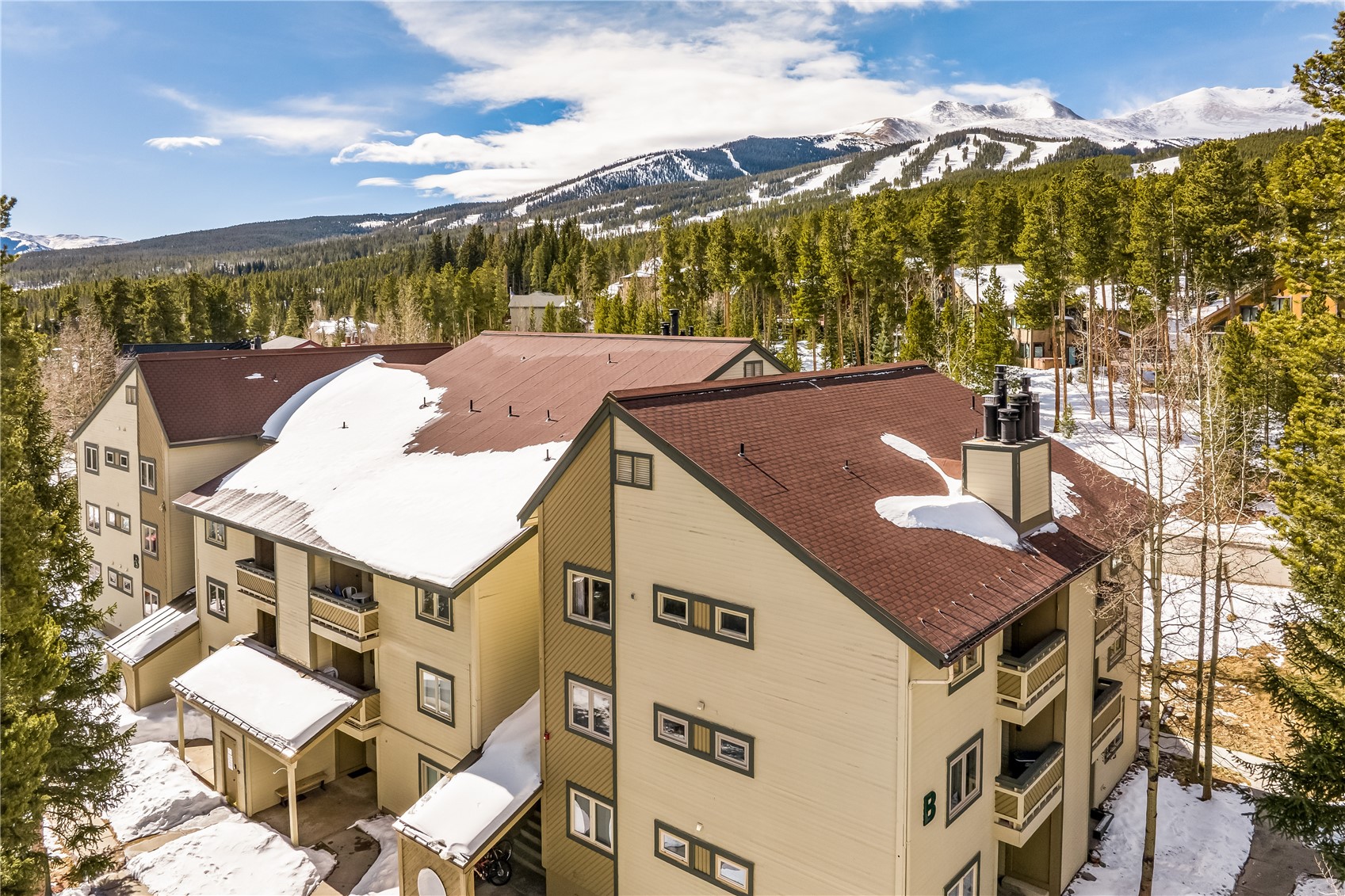 1001 Grandview Drive Breckenridge CO 80424