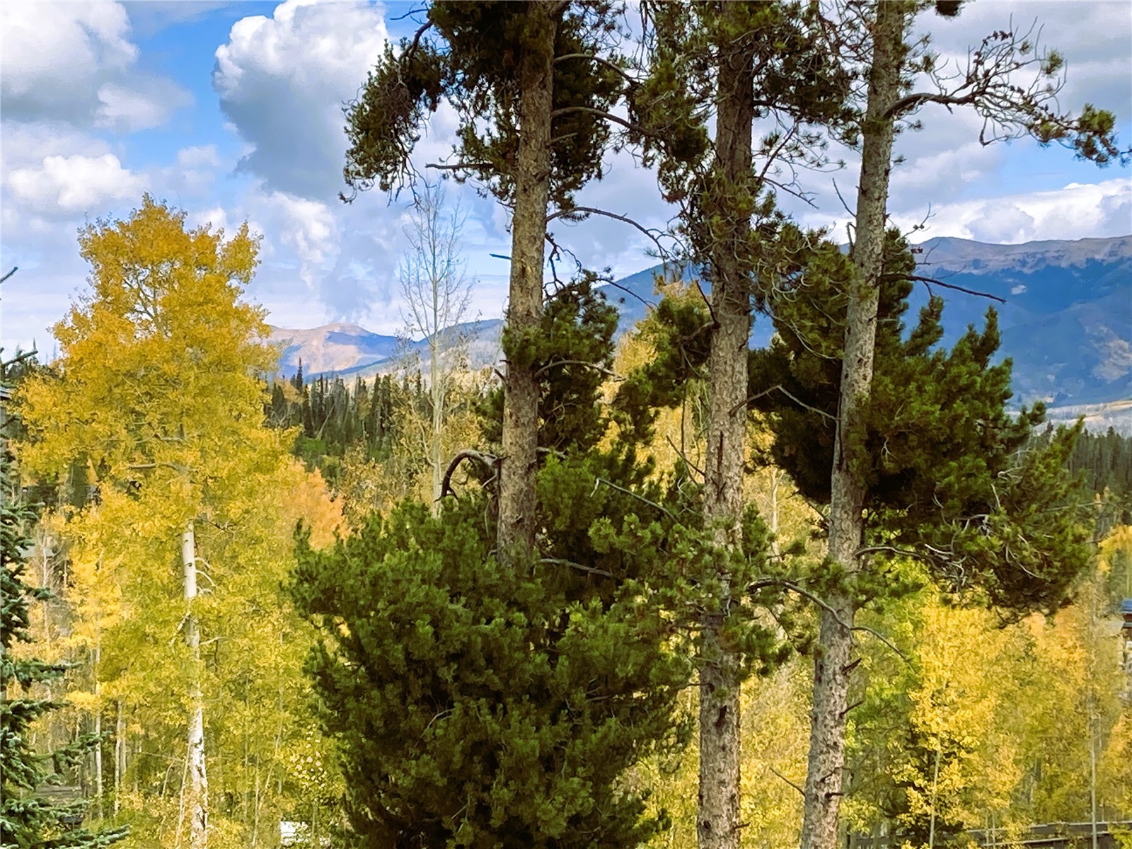 8500 Ryan Gulch Silverthorne CO 80498