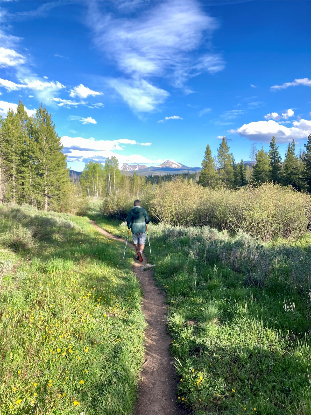 8500 Ryan Gulch Silverthorne CO 80498