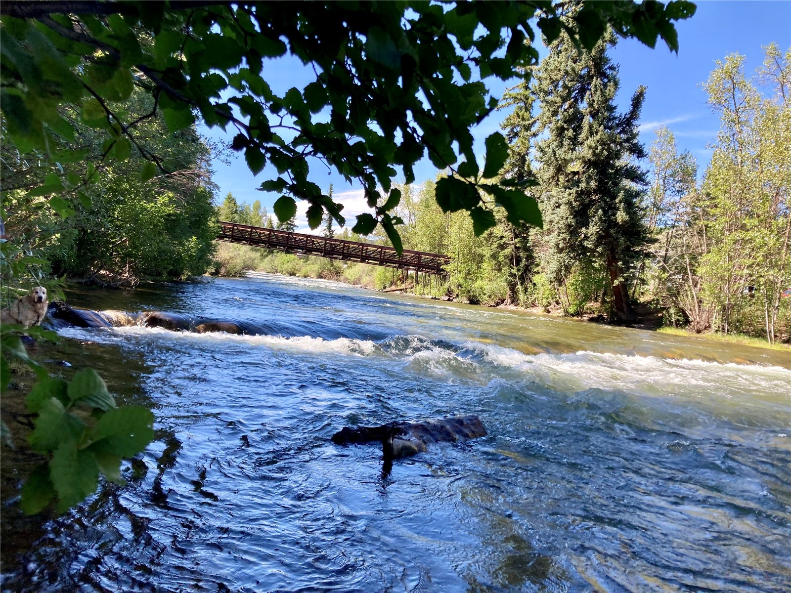 8500 Ryan Gulch Silverthorne CO 80498