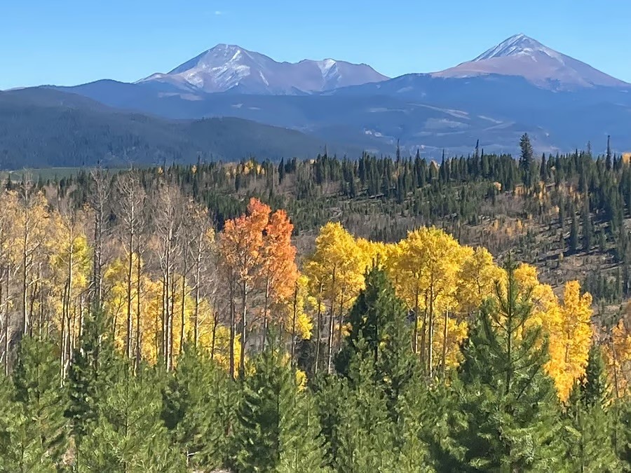 8500 Ryan Gulch Silverthorne CO 80498