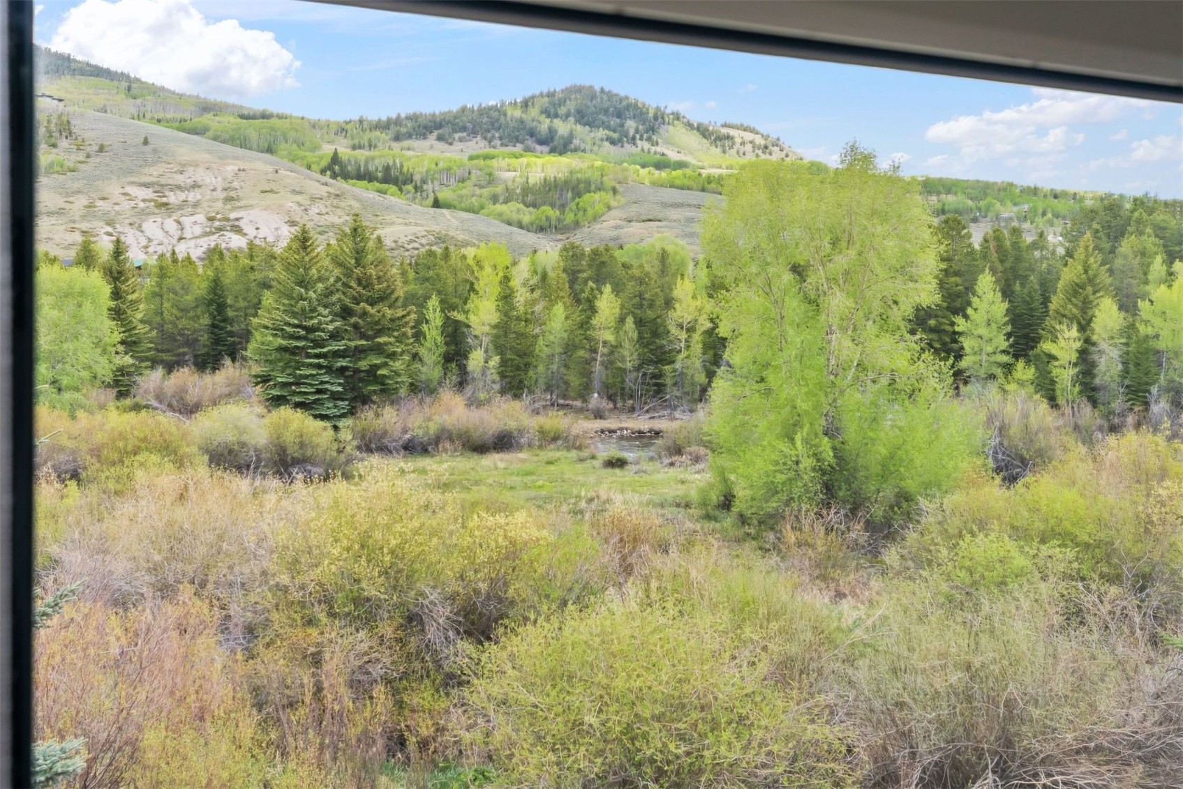 135 Creek Lane Silverthorne CO 80498
