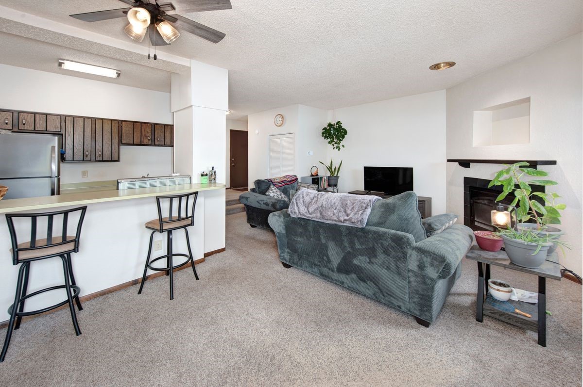 58 Summit Drive Dillon CO 80435