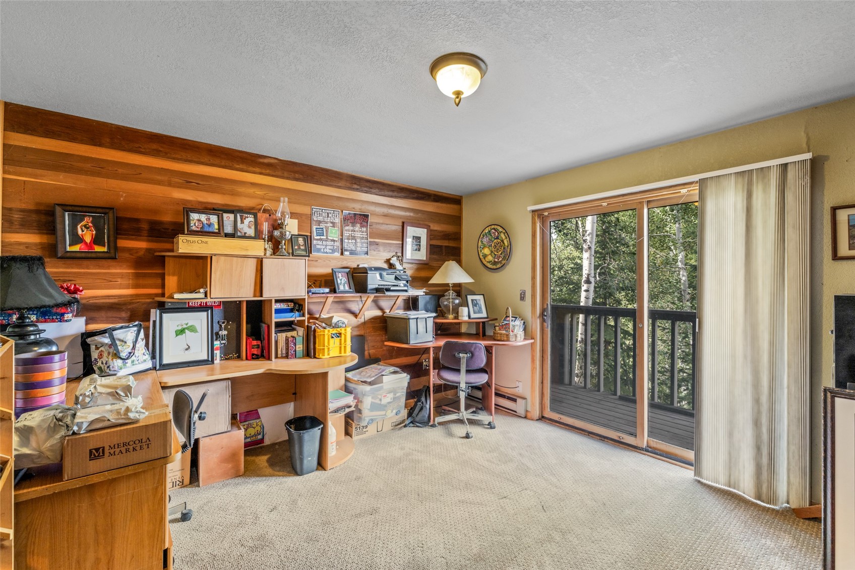 1151 Overlook Drive Steamboat Springs CO 80487
