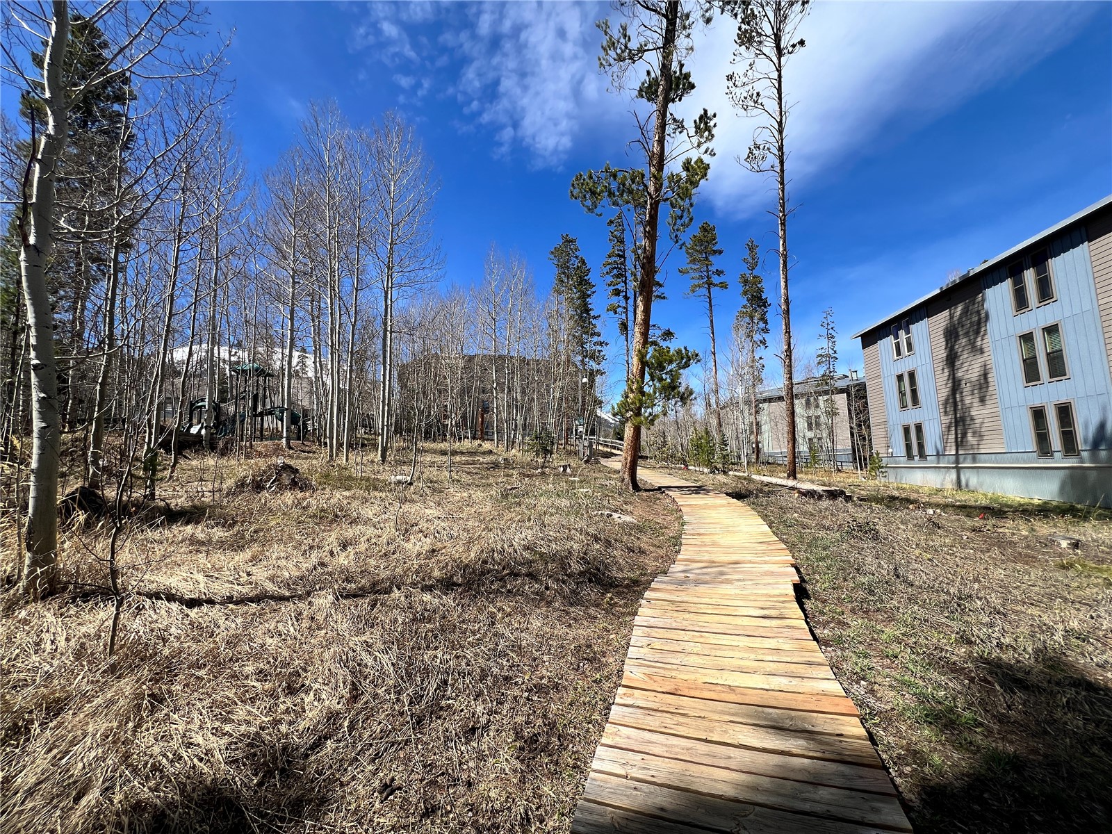 2100 Lodgepole Circle Silverthorne CO 80498