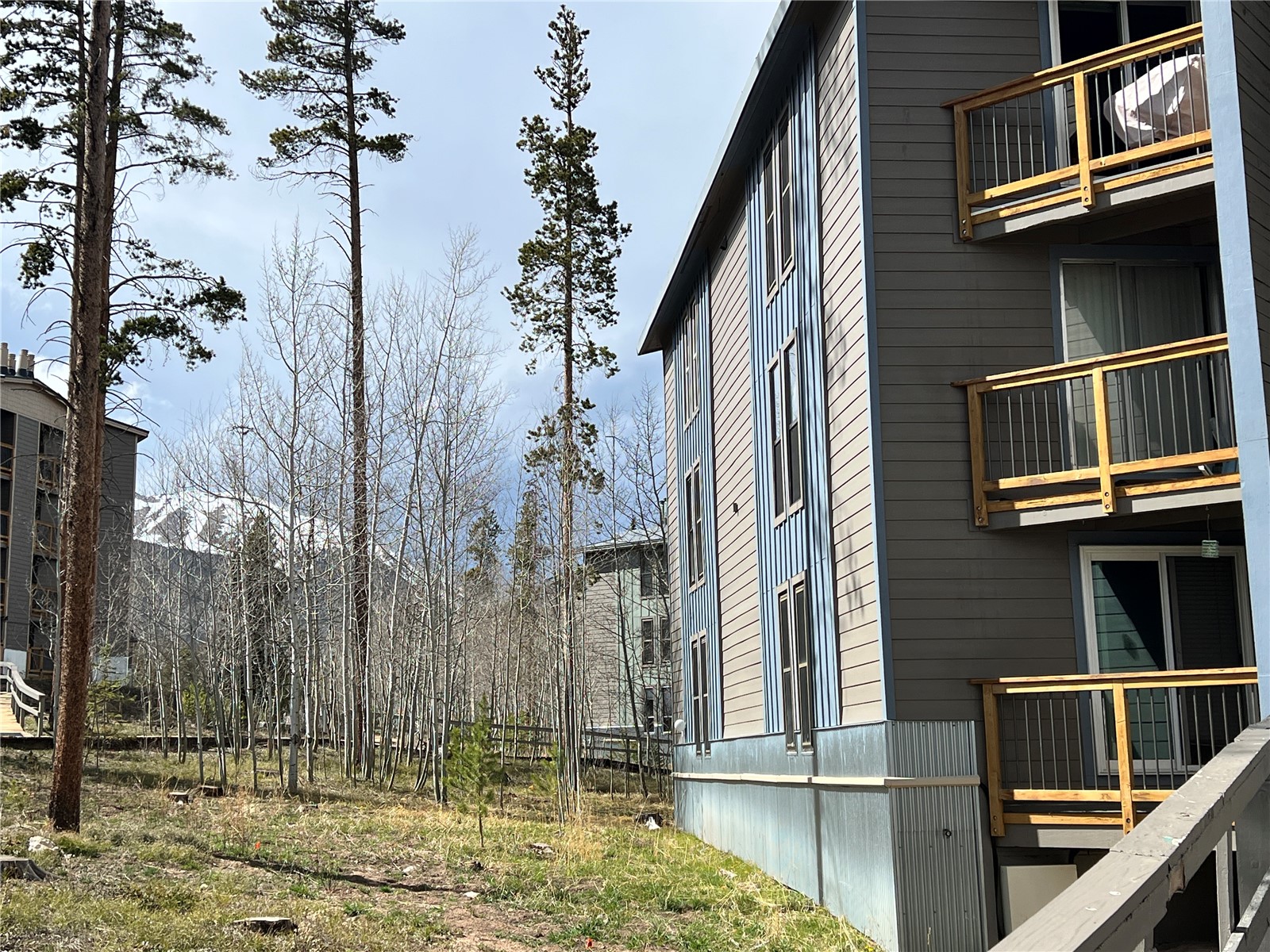2100 Lodgepole Circle Silverthorne CO 80498