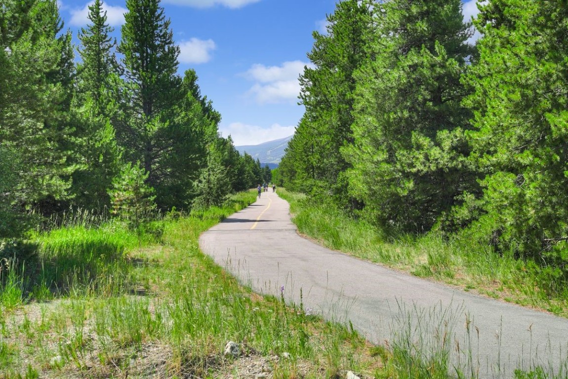 38 Linden Lane Breckenridge CO 80424