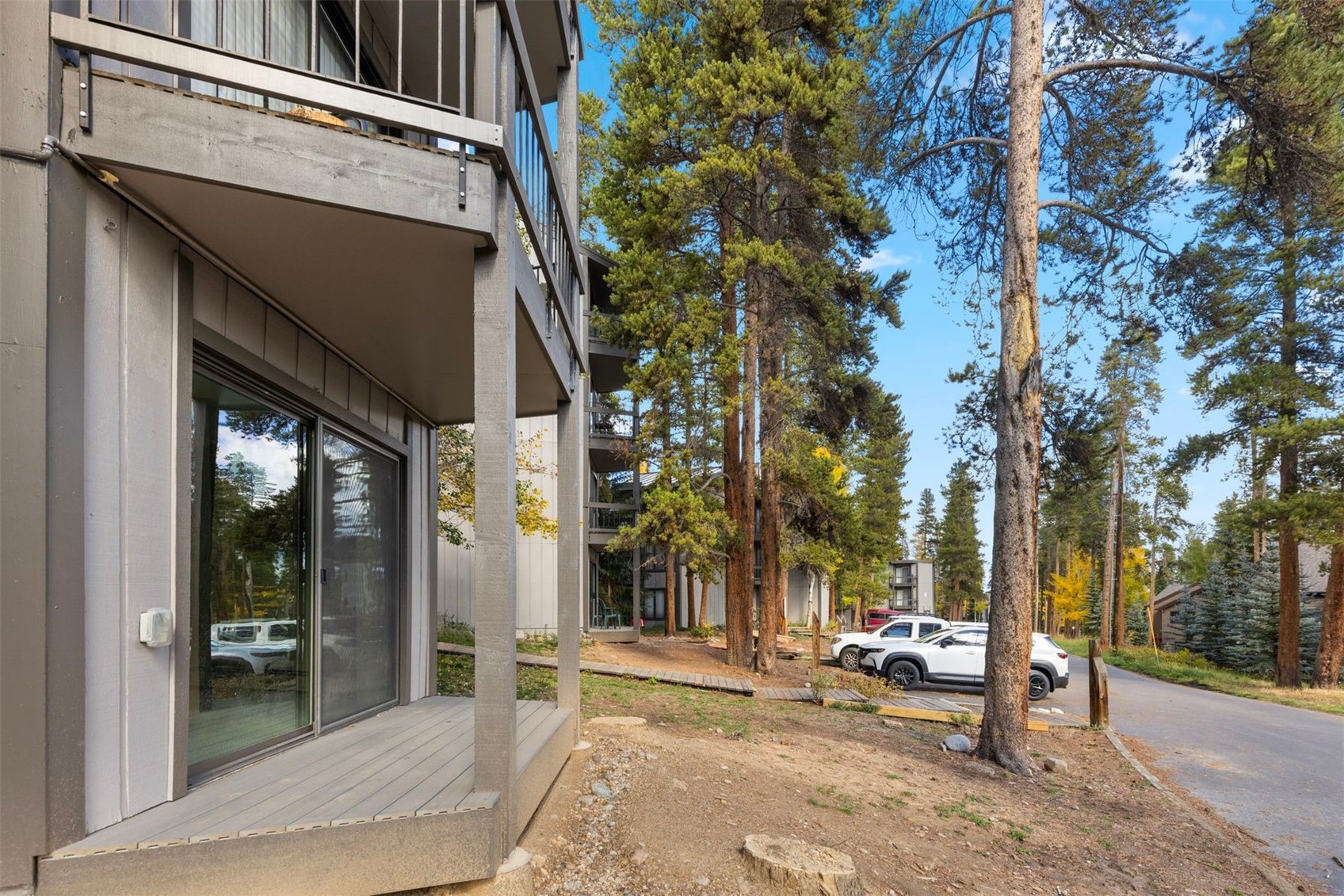 1127 Ski Hill Road Breckenridge CO 80424