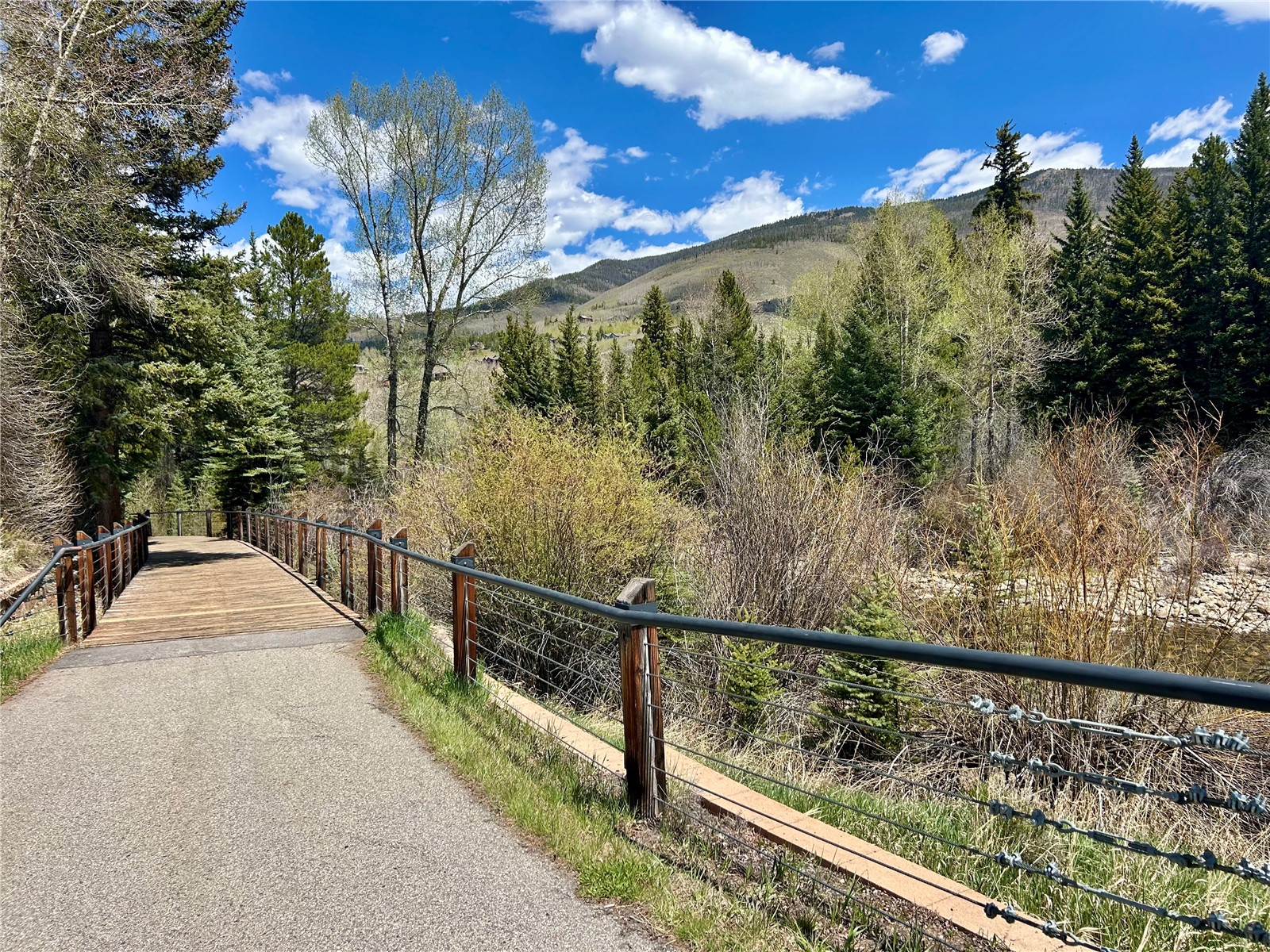 114 Robin Drive Silverthorne CO 80498