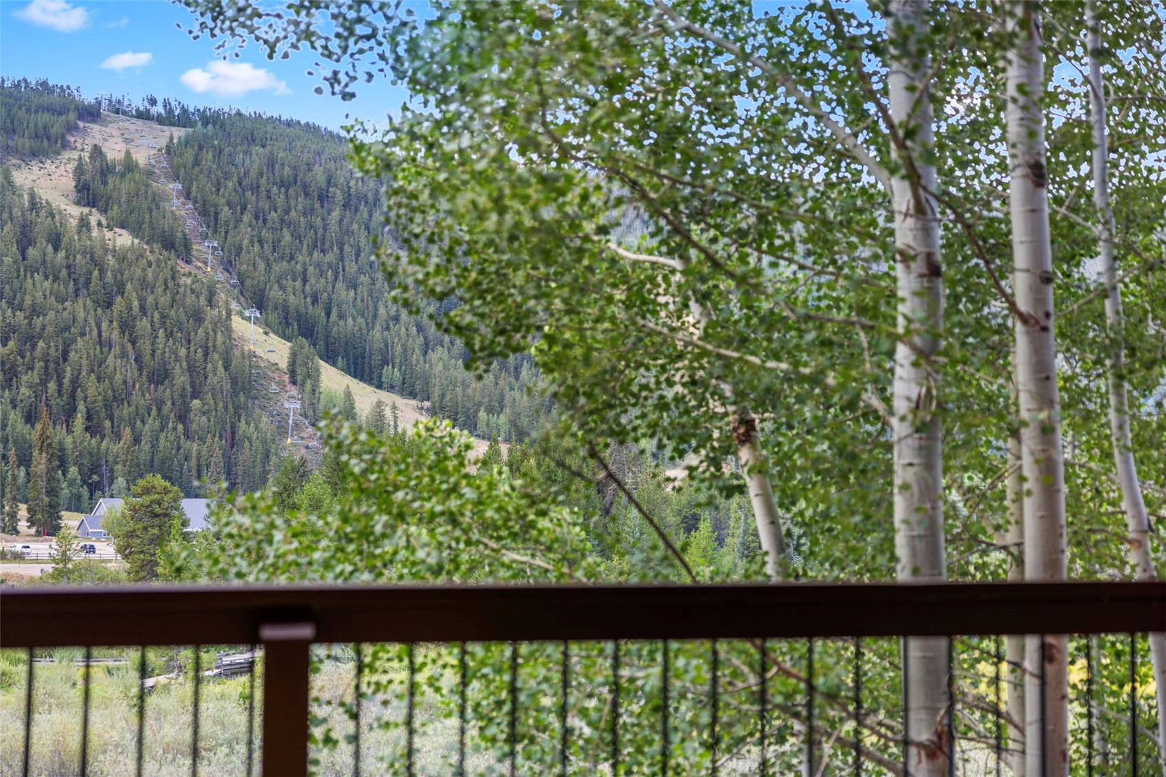 60 Oro Grande Drive Keystone CO 80435