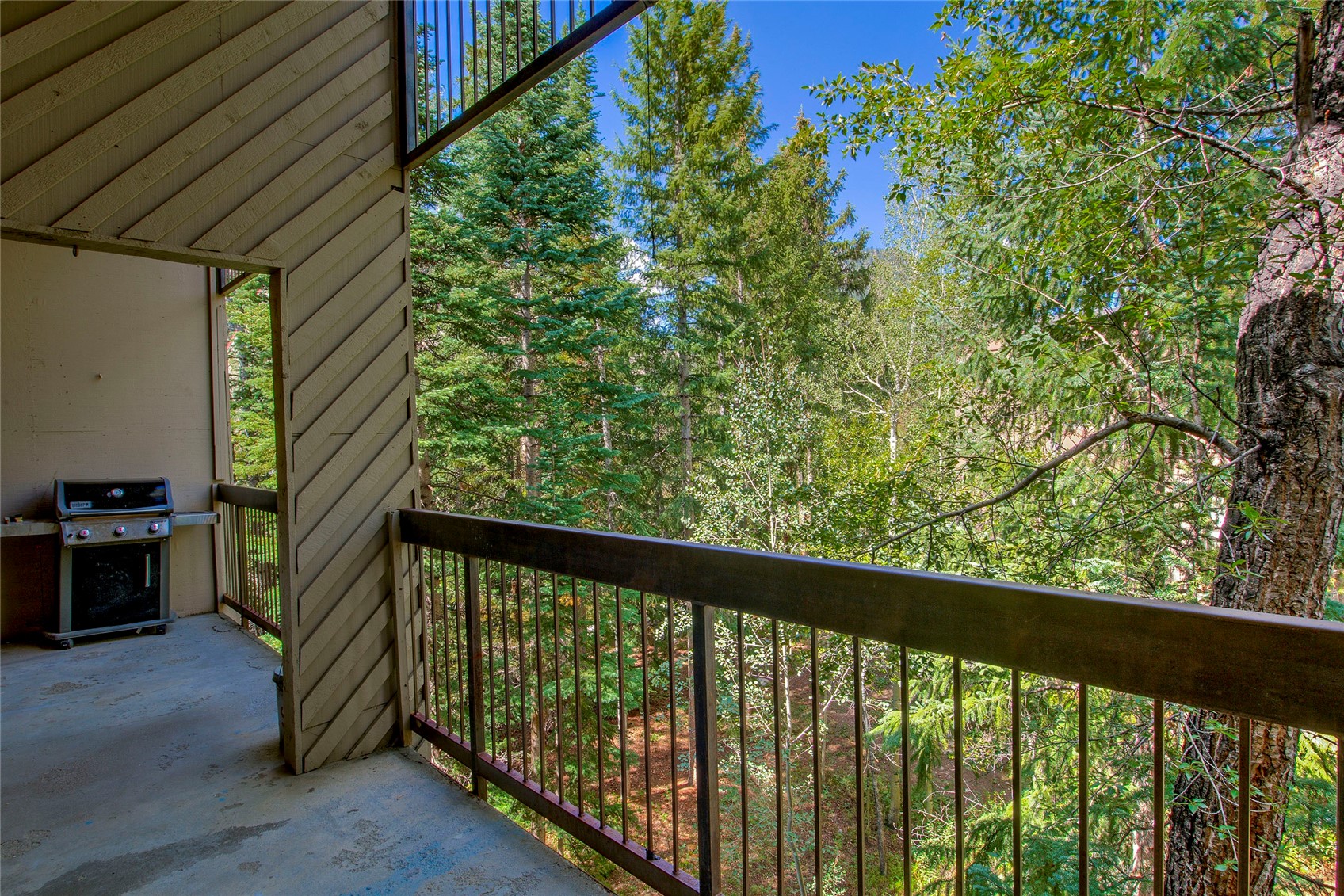 222 Creekside Drive Frisco CO 80443