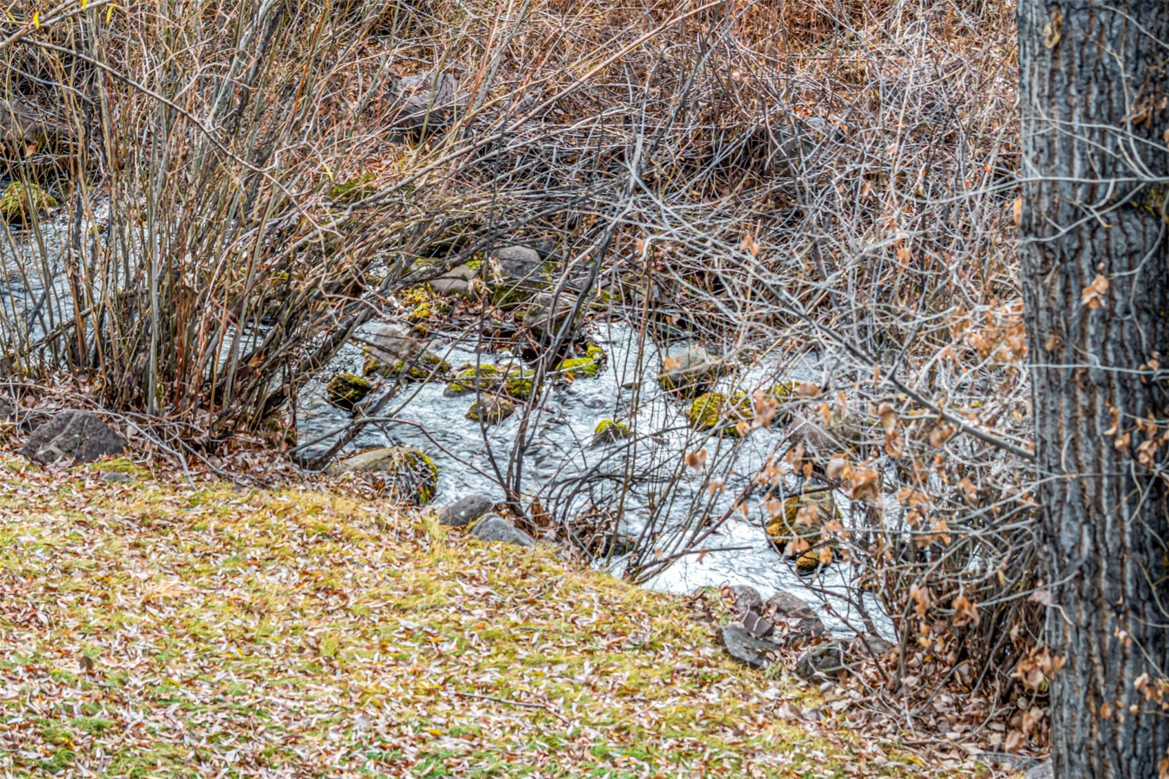 903 N Frontage Road W Vail CO 81657