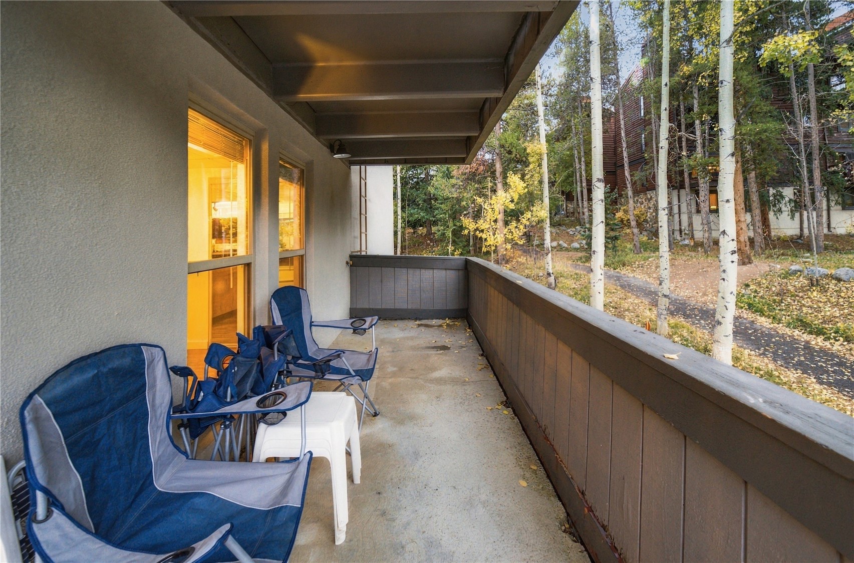 705 Snowberry Lane Breckenridge CO 80424