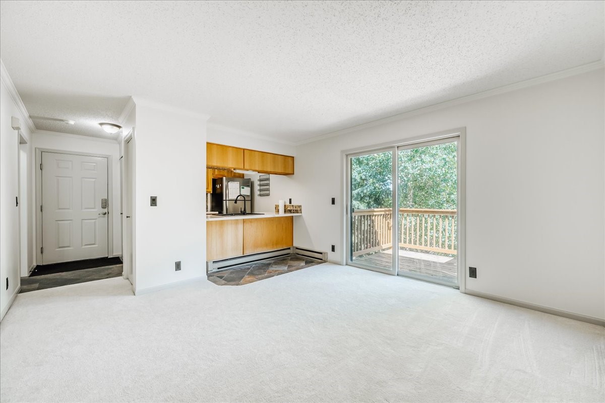300 Illinois Gulch Road Breckenridge CO 80424