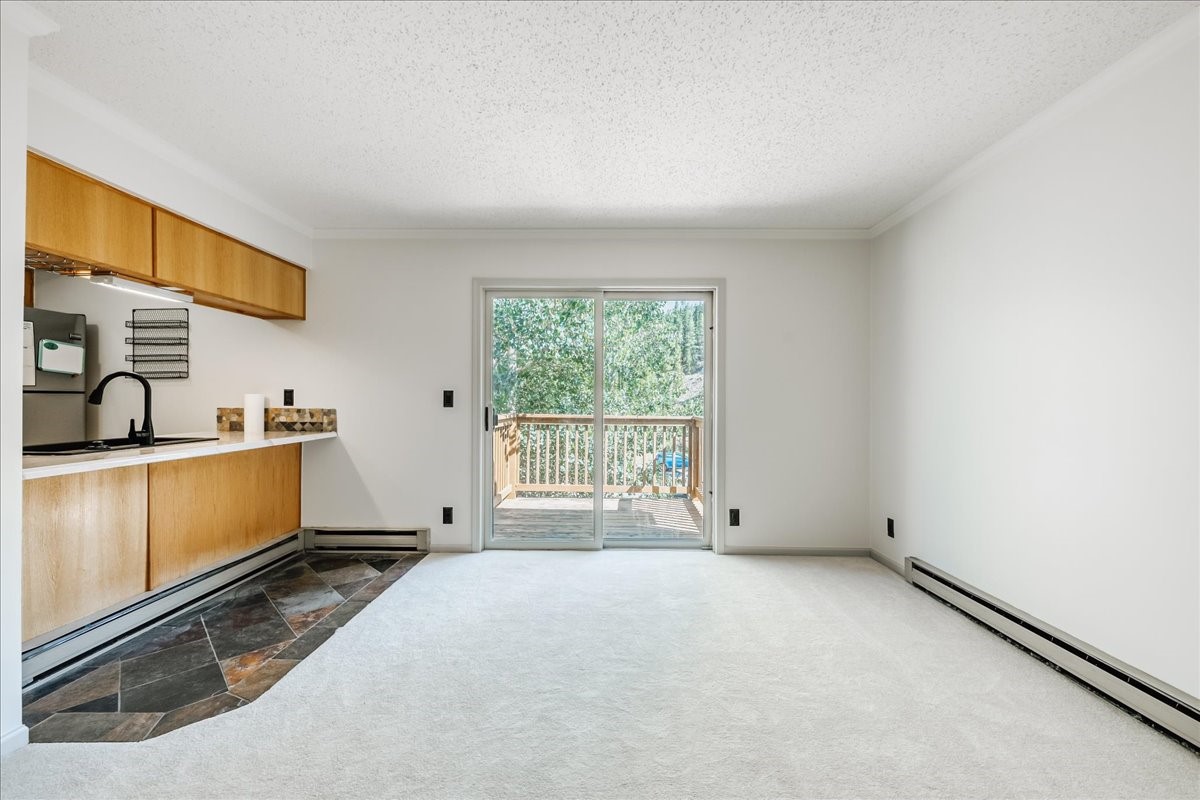 300 Illinois Gulch Road Breckenridge CO 80424