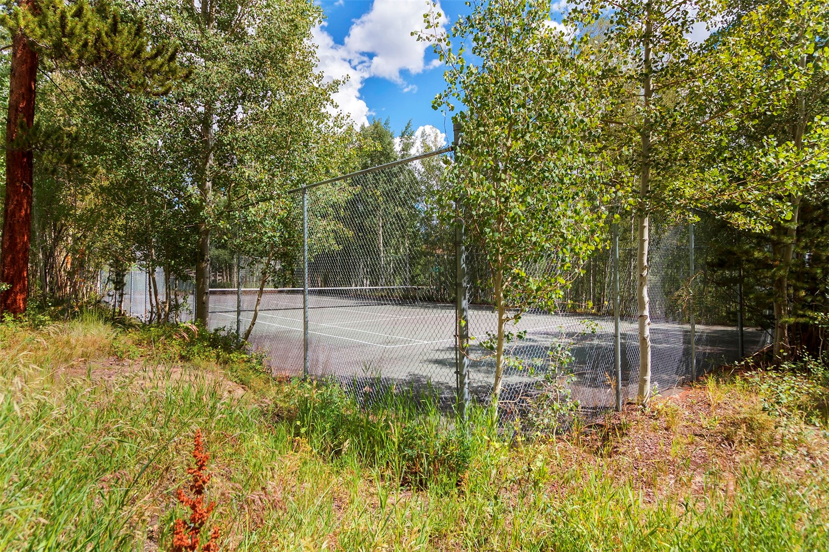 4200 Lodge Pole Circle Wildernest CO 80498