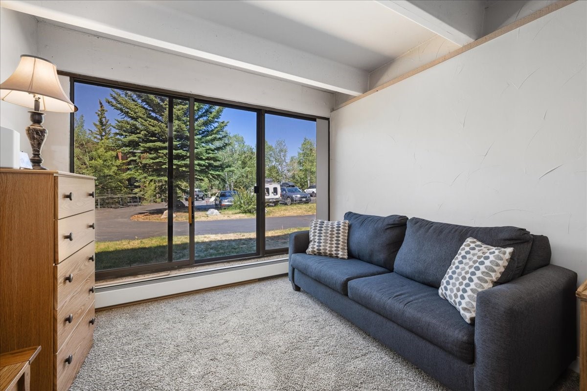 220 E La Bonte Street Dillon CO 80435