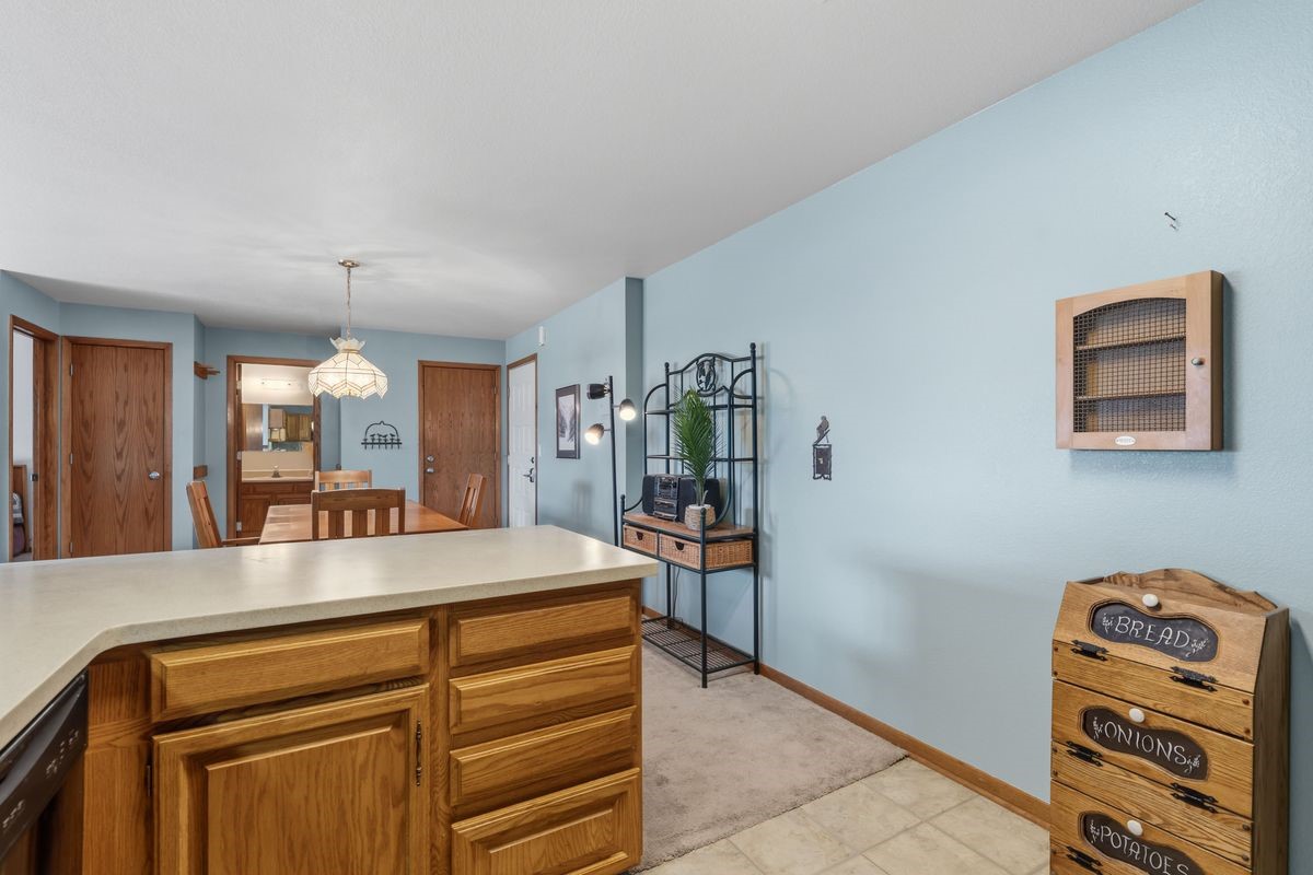 89310 Ryan Gulch Road Silverthorne CO 80498