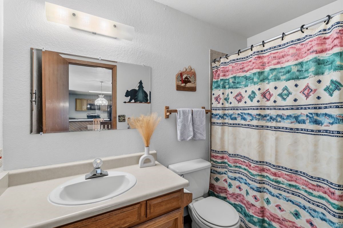 89310 Ryan Gulch Road Silverthorne CO 80498