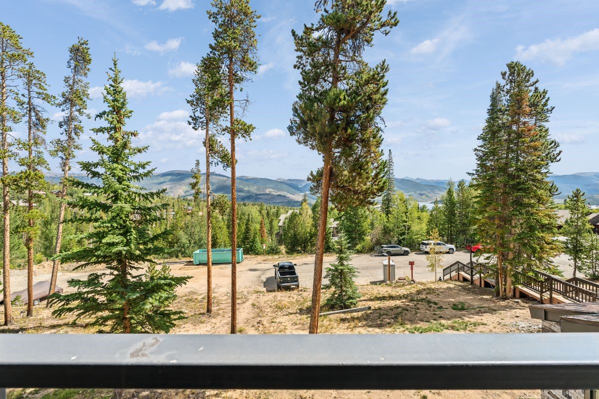 89310 Ryan Gulch Road Silverthorne CO 80498