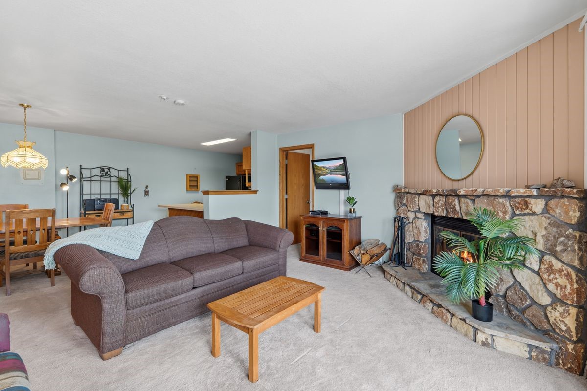 89310 Ryan Gulch Road Silverthorne CO 80498