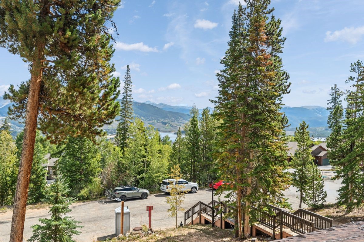 89310 Ryan Gulch Road Silverthorne CO 80498