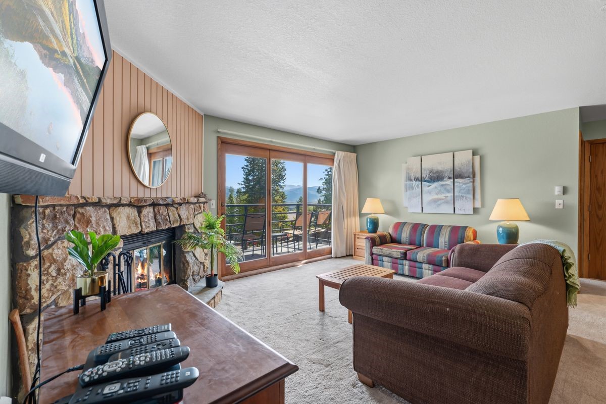 89310 Ryan Gulch Road Silverthorne CO 80498