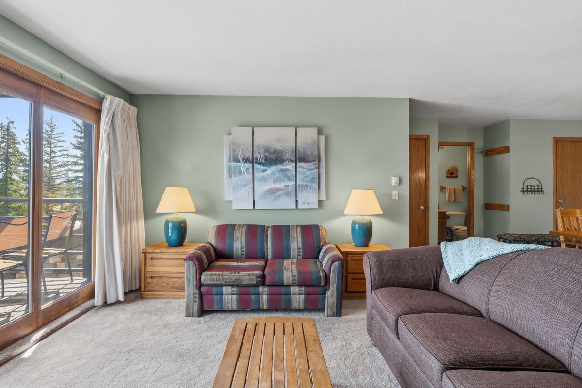 89310 Ryan Gulch Road Silverthorne CO 80498