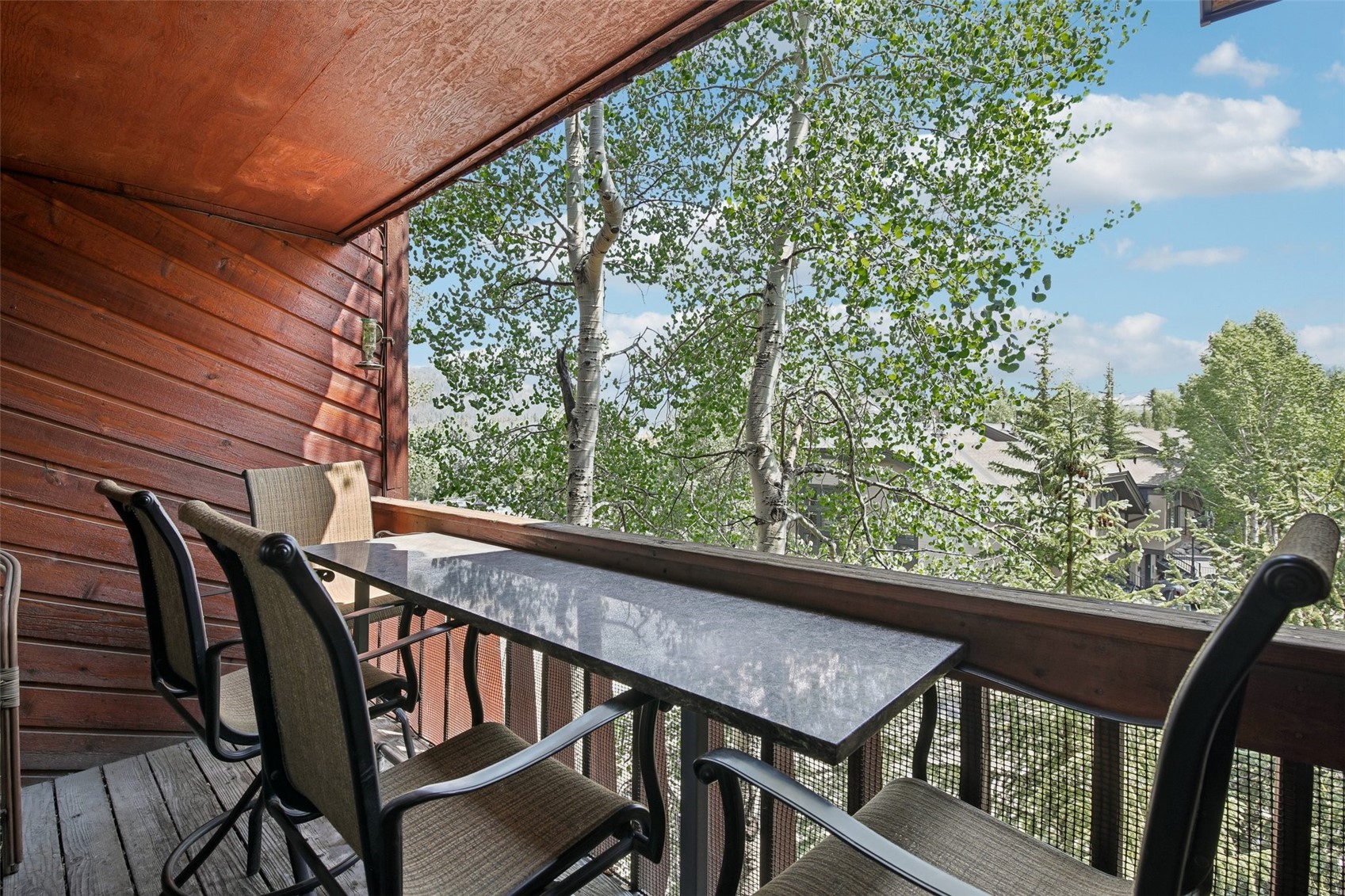 305 S Park Avenue Breckenridge CO 80424