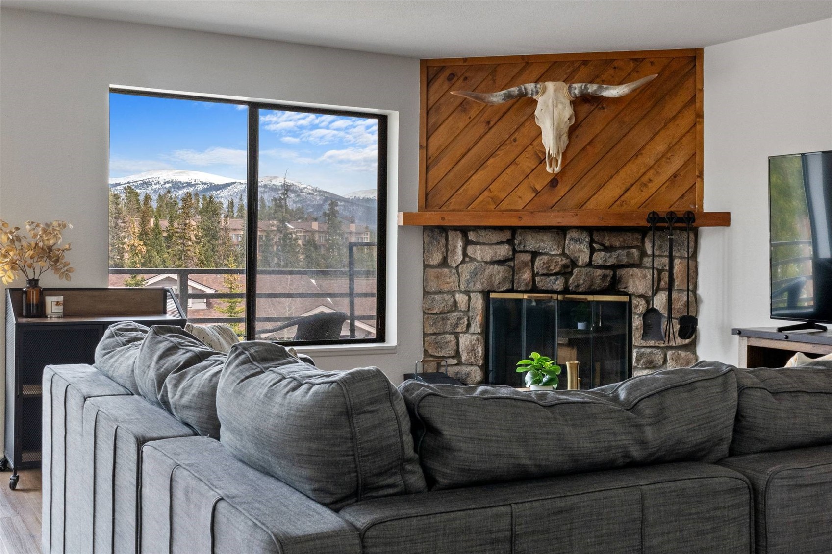 9876 Ryan Gulch Road Silverthorne CO 80498