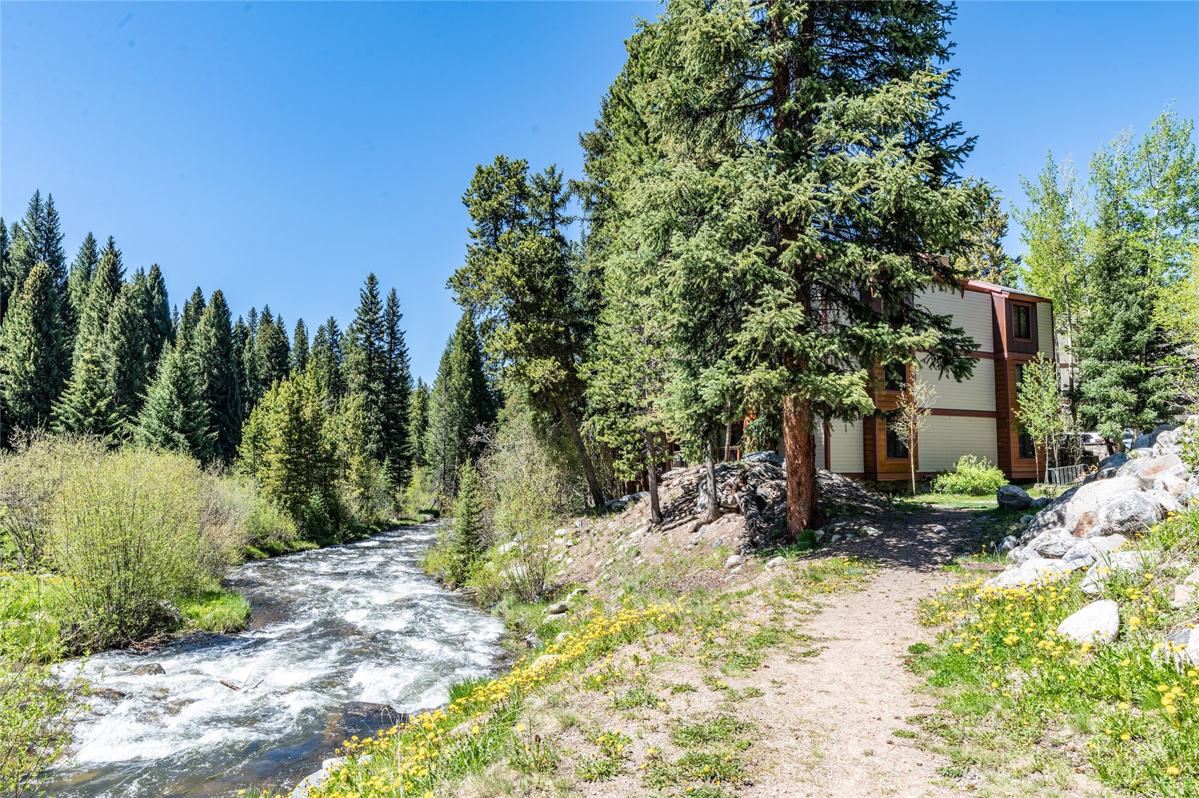 805 Columbine Road Breckenridge CO 80424