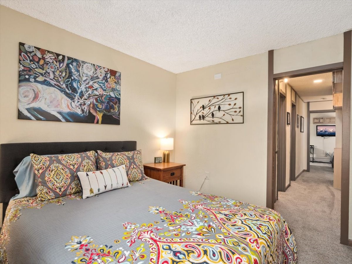 1161 Ski Hill Road Breckenridge CO 80424