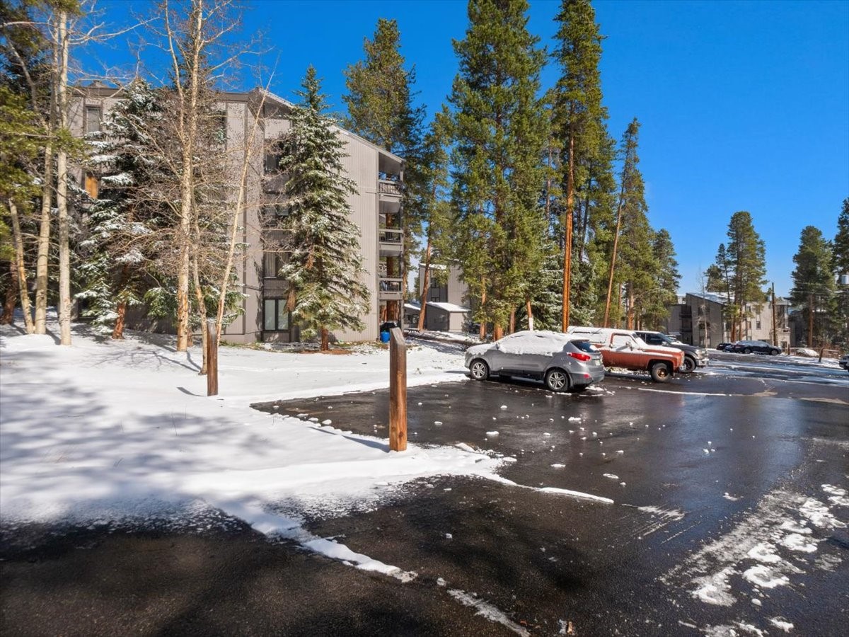 1161 Ski Hill Road Breckenridge CO 80424