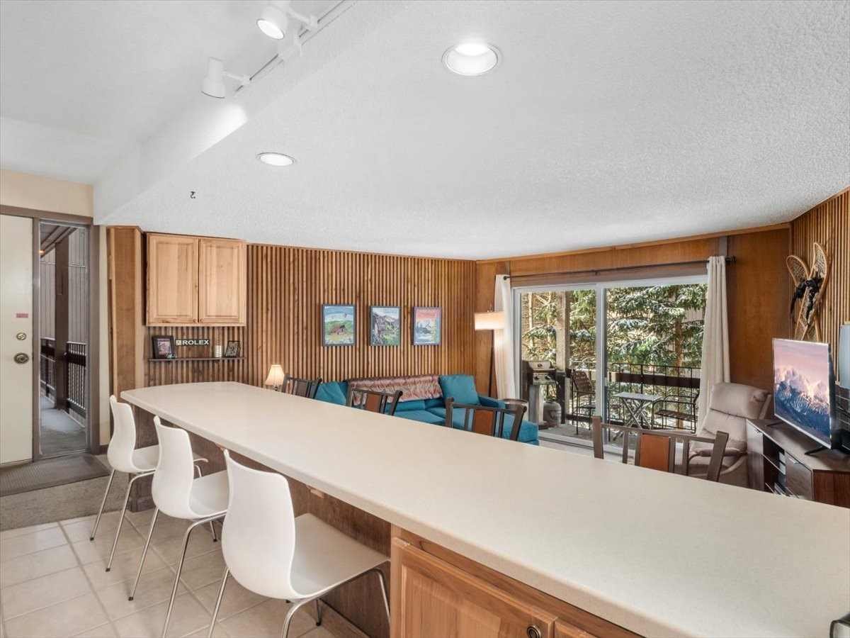 1161 Ski Hill Road Breckenridge CO 80424