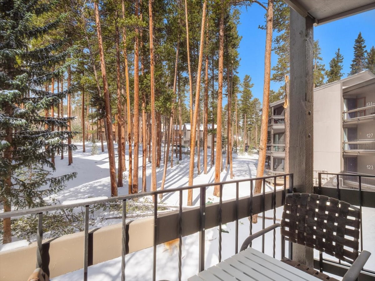1161 Ski Hill Road Breckenridge CO 80424