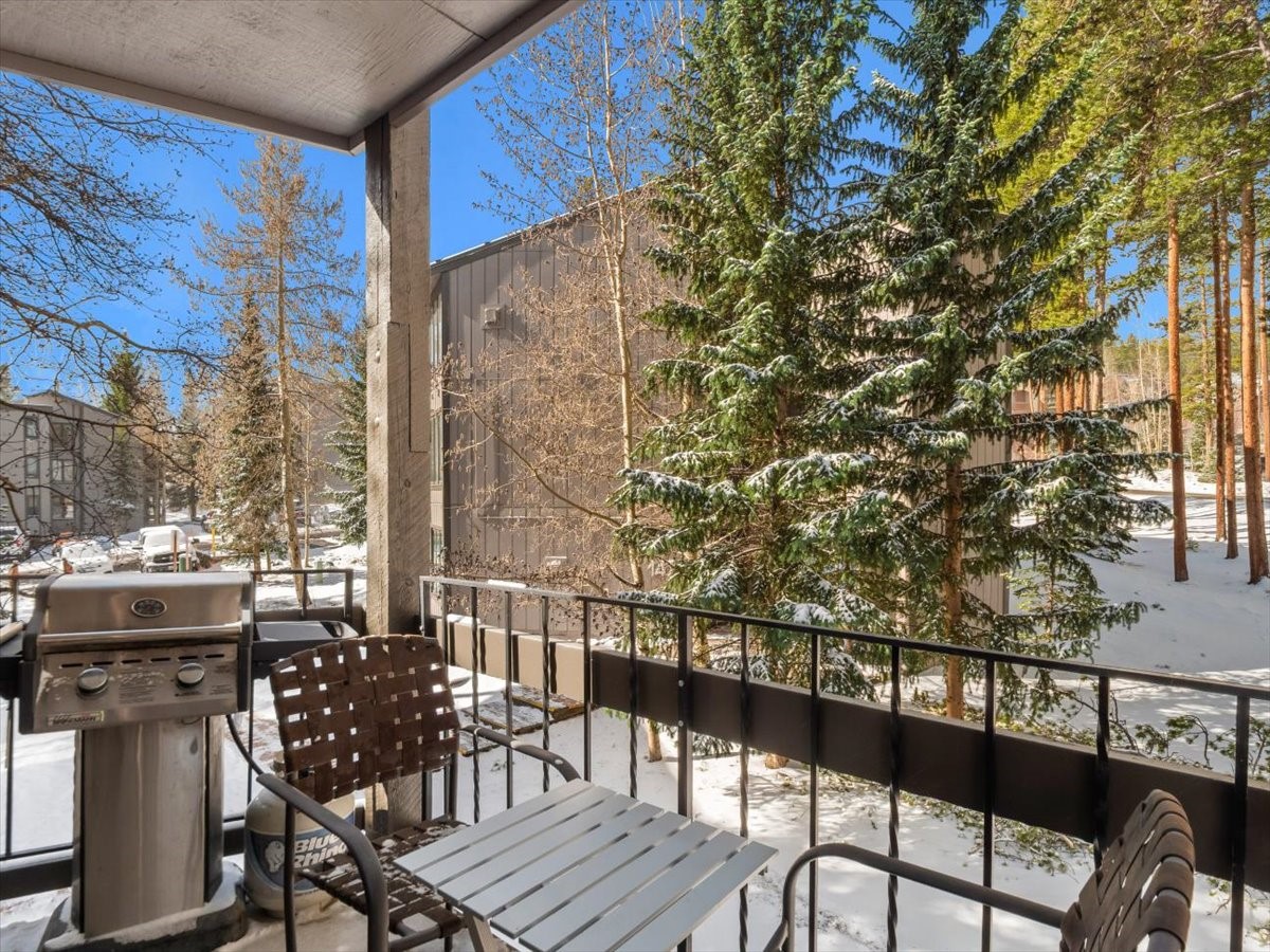 1161 Ski Hill Road Breckenridge CO 80424