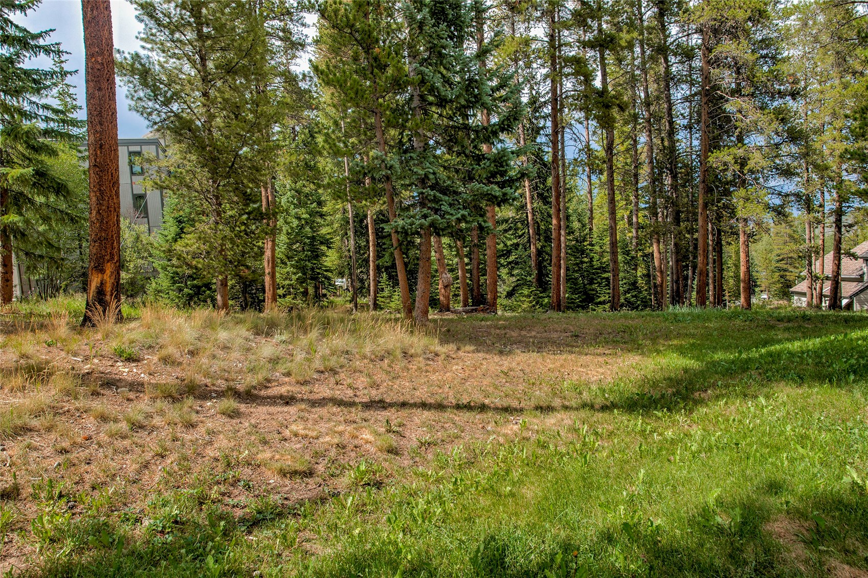 1001 Grandview Drive Breckenridge CO 80424