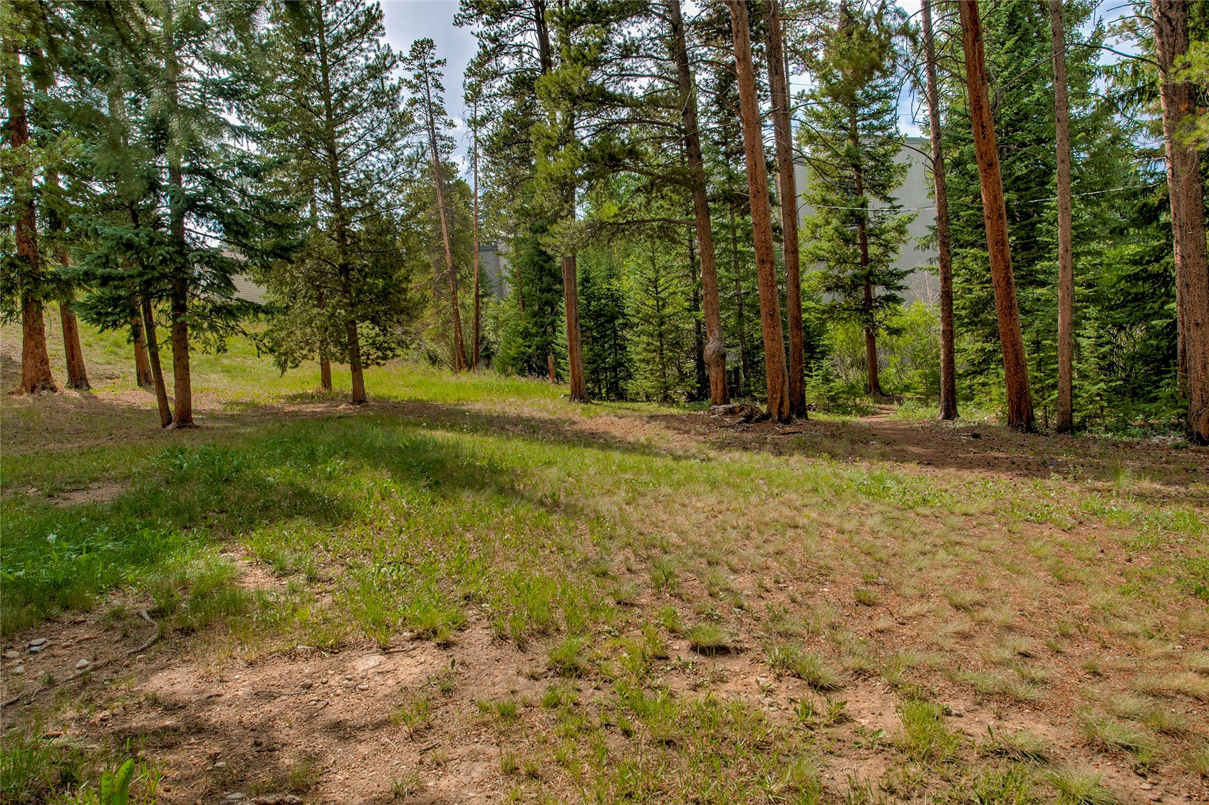 1001 Grandview Drive Breckenridge CO 80424
